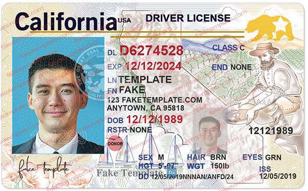 california-drivers-license-template-01