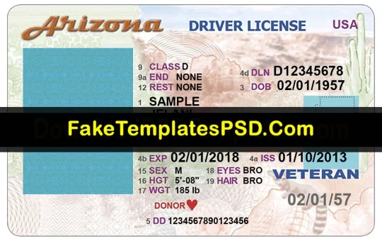 Arizona drivers license template