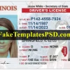 Illinois Driver License Template