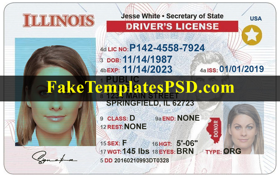 illinois-driver-license-template-psd-2024