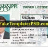 Mississippi Drivers License Template PSD