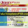 New Jersey Drivers License Template