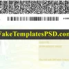 New York Drivers License Template