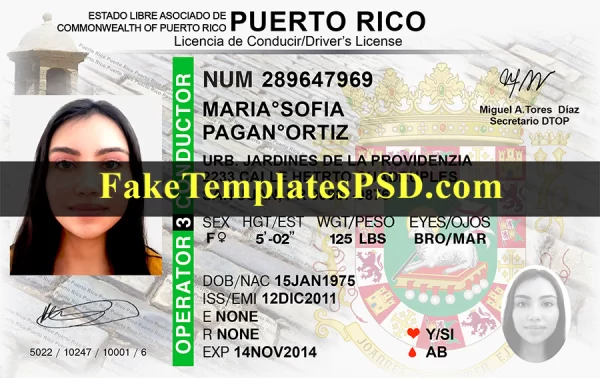 Puerto Rico Drivers License Template