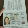 Argentina Passport Template PSD