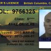 British Columbia Canada Driver License Template