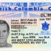 British Columbia Canada Drivers License Template