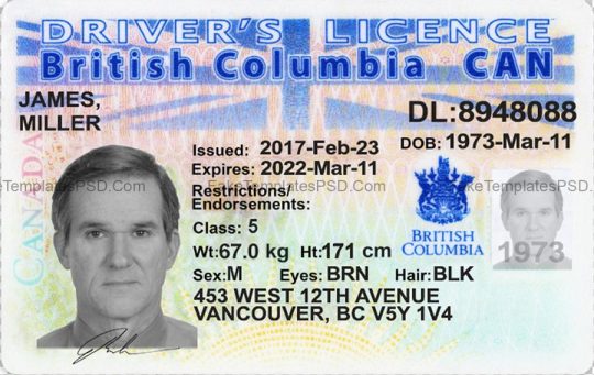 British Columbia Canada Drivers License Template